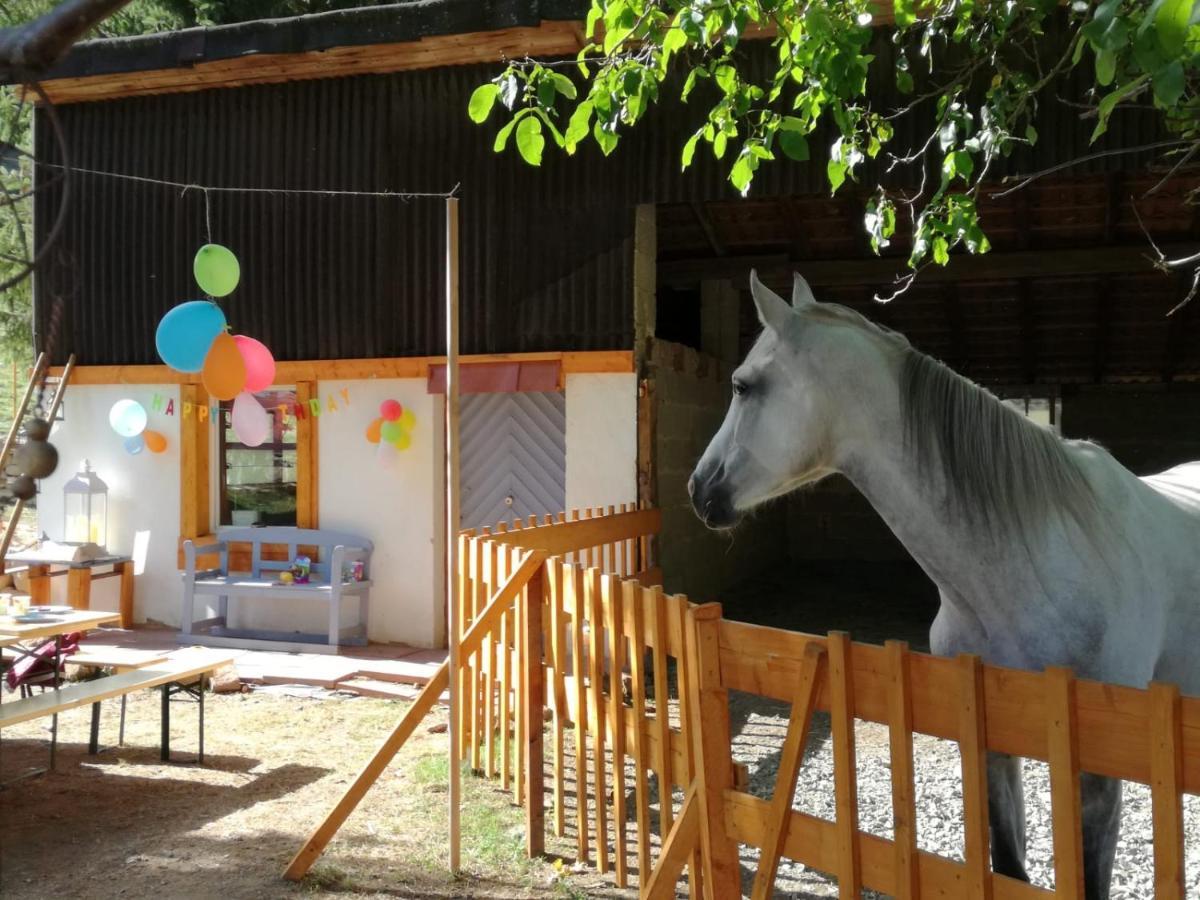 Zuruck Zur Natur - Urlaub Im Zirkuswagen, Sommeratelier Oder Schindelwagen Adenbach Exterior foto